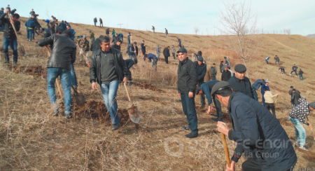 &#1202;ар ки кард обод як са&#1203;рои ноободро